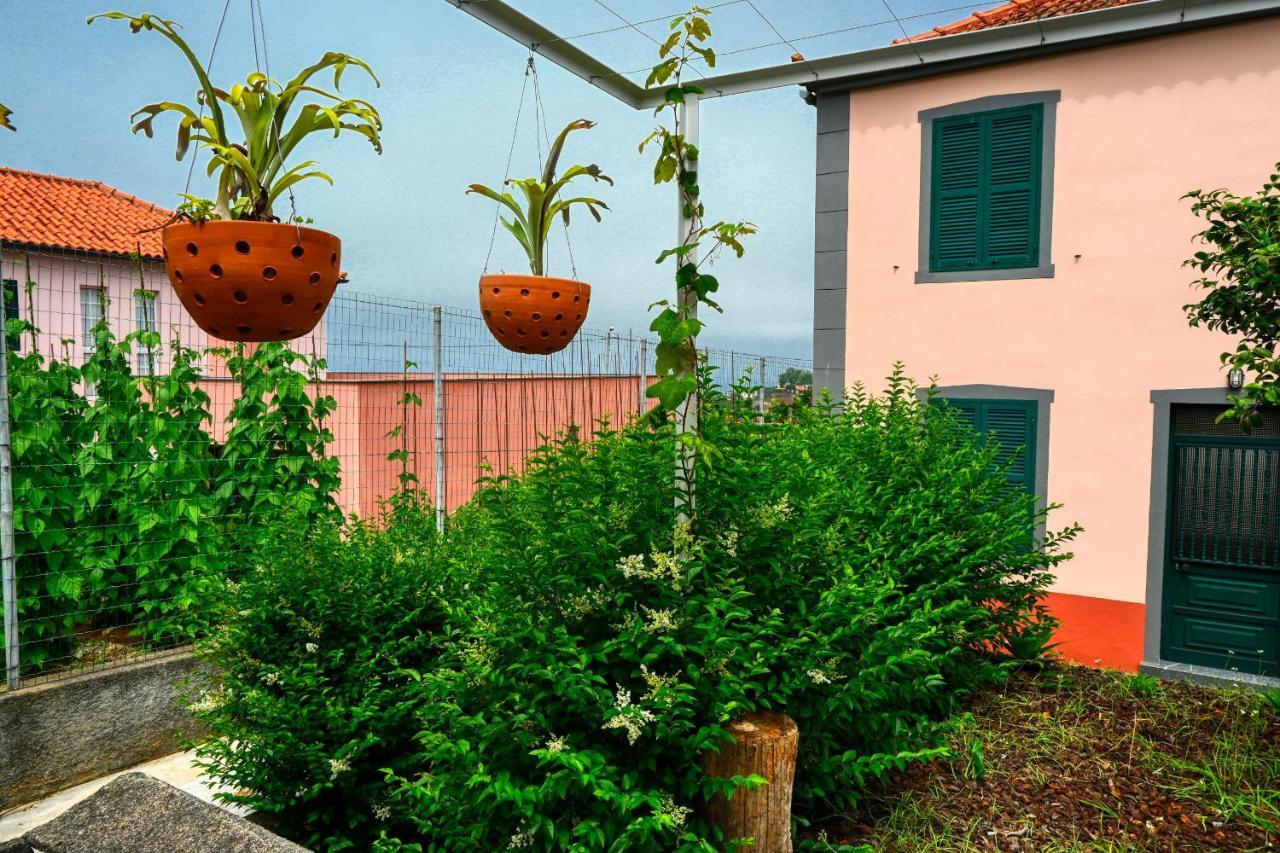 Os Ferreirinhos, A Home In Madeira São Jorge Zewnętrze zdjęcie