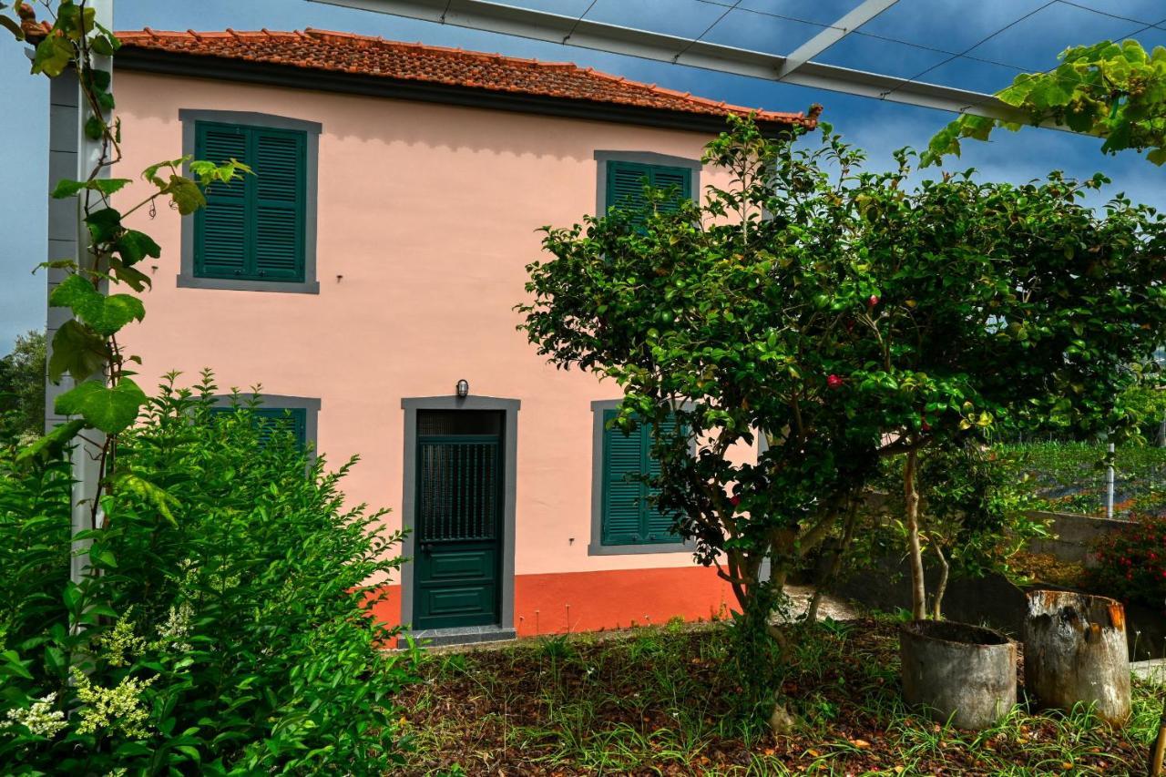 Os Ferreirinhos, A Home In Madeira São Jorge Zewnętrze zdjęcie