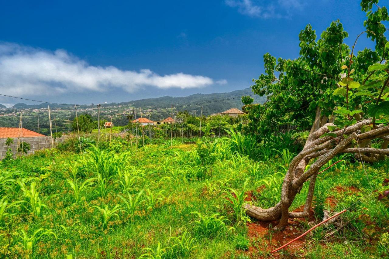 Os Ferreirinhos, A Home In Madeira São Jorge Zewnętrze zdjęcie
